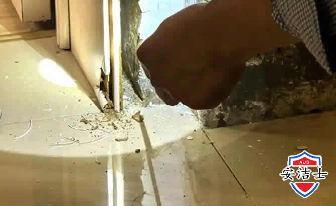 武义房屋建筑防治白蚁