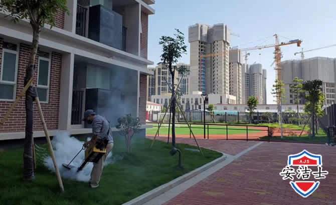 武义工厂工地除白蚁