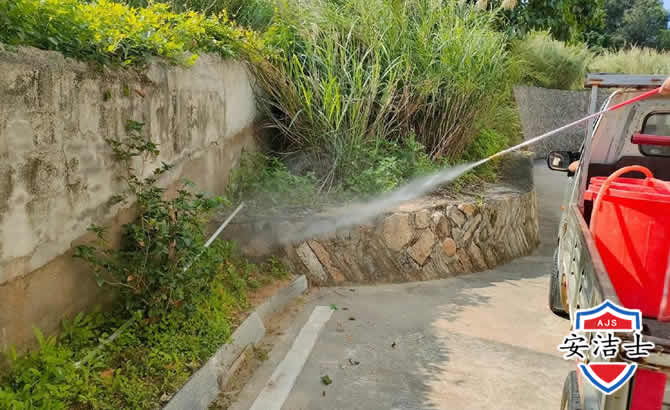 武义道路堤坝白蚁防治
