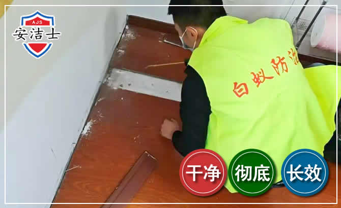 武义除四害现场