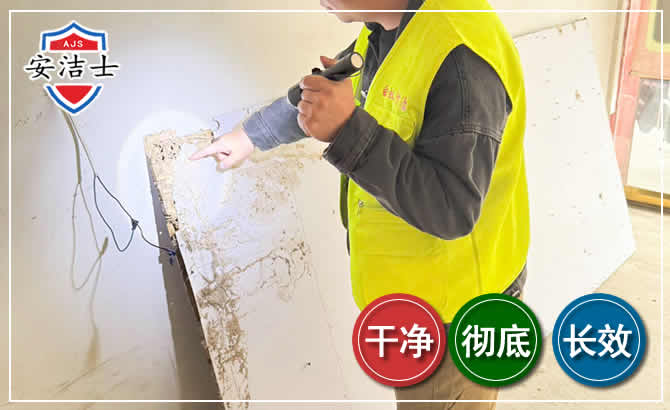 武义除白蚁现场