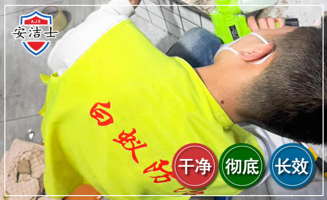 武义白蚁根治现场